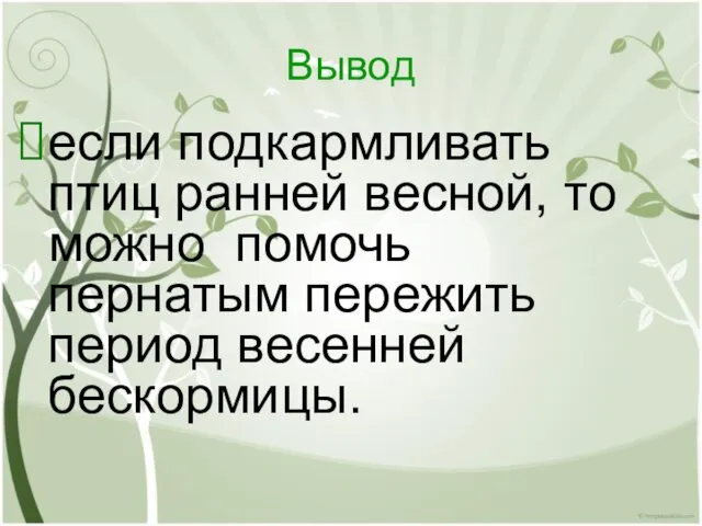 Вывод если подкармливать птиц ранней весной, то можно помочь пернатым пережить период весенней бескормицы.