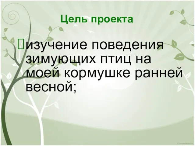 Цель проекта изучение поведения зимующих птиц на моей кормушке ранней весной;