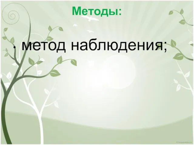 Методы: метод наблюдения;