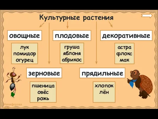 Культурные растения овощные плодовые декоративные зерновые прядильные лук помидор огурец