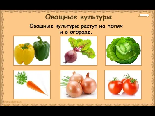 Овощные культуры Овощные культуры растут на полях и в огороде.