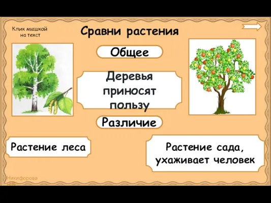 Сравни растения Общее Различие Деревья приносят пользу Растение леса Растение