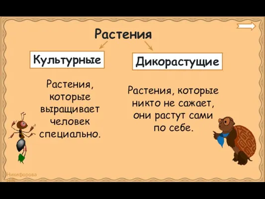 Растения Растения, которые выращивает человек специально. Растения, которые никто не