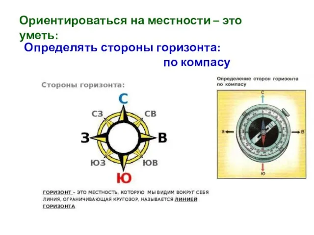 Ориентироваться на местности – это уметь: Определять стороны горизонта: по компасу