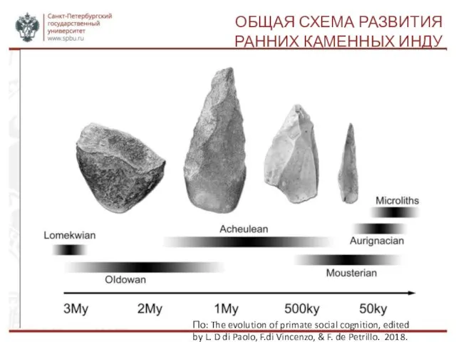 ОБЩАЯ СХЕМА РАЗВИТИЯ РАННИХ КАМЕННЫХ ИНДУ По: The evolution of primate social cognition,