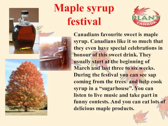 Maple syrup festival Canadians favourite sweet is maple syrup. Canadians like it so