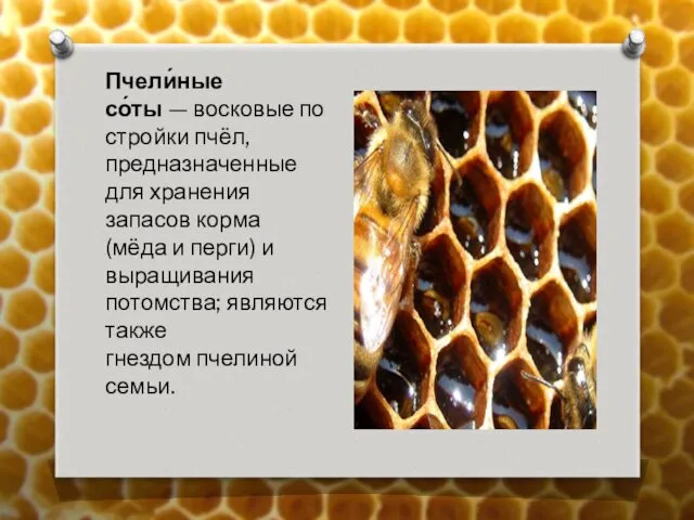 Пчели́ные со́ты — восковые постройки пчёл, предназначенные для хранения запасов