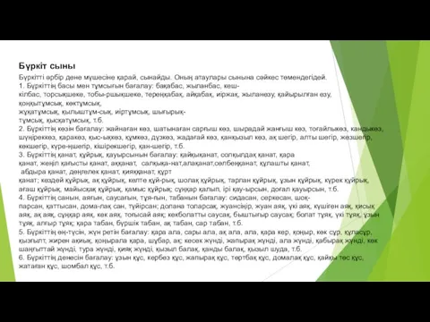 Бүркіт сыны Бүркітті әрбір дене мүшесіне қарай, сынайды. Оның атаулары