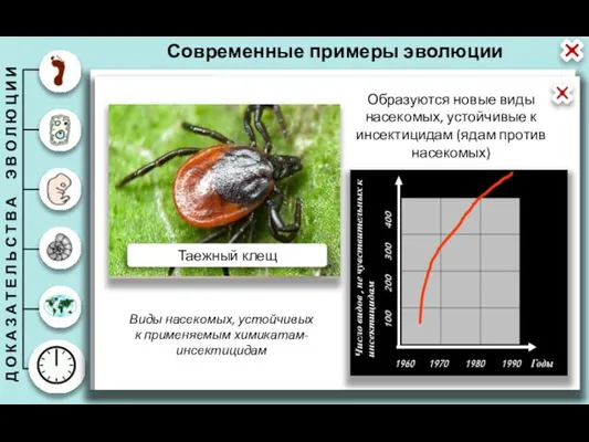 Современные примеры эволюции Эволюция микроорганизмов Эволюция насекомых-вредителей Вывод: эволюция происходит