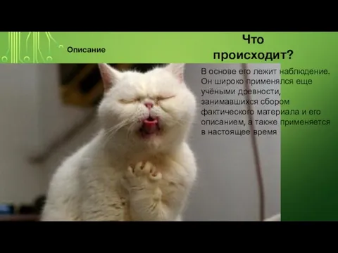 Что происходит? Описание В основе его лежит наблюдение. Он широко