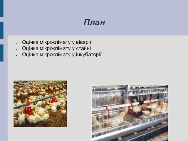 План Оцінка мікроклімату у віварії Оцінка мікроклімату у стайні Оцінка мікроклімату у інкубаторії