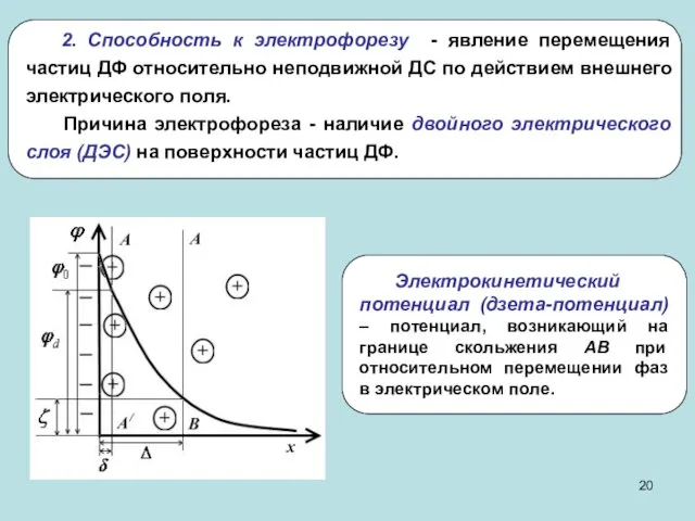 2. Способность к электрофорезу - явление перемещения частиц ДФ относительно