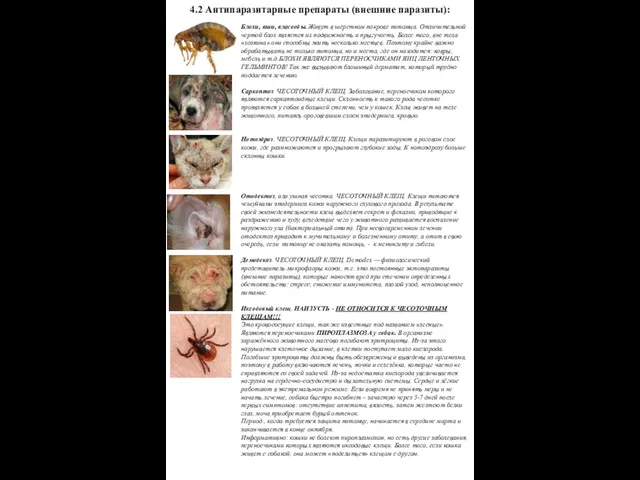 4.2 Антипаразитарные препараты (внешние паразиты): Блохи, вши, власоеды. Живут в шерстном покрове питомца.