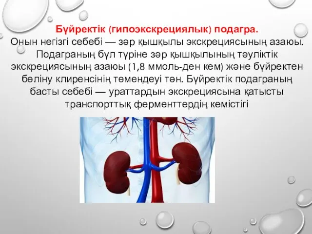 Бүйректік (гипоэкскрециялык) подагра. Онын негізгі себебі — зәр қышқылы экскрециясының