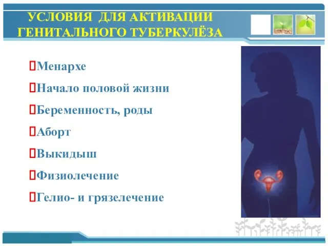 УСЛОВИЯ ДЛЯ АКТИВАЦИИ ГЕНИТАЛЬНОГО ТУБЕРКУЛЁЗА Менархе Начало половой жизни Беременность,