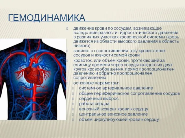 ГЕМОДИНАМИКА движение крови по сосудам, возникающее вследствие разности гидростатического давления в различных участках