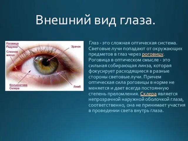 Внешний вид глаза. Глаз - это сложная оптическая система. Световые