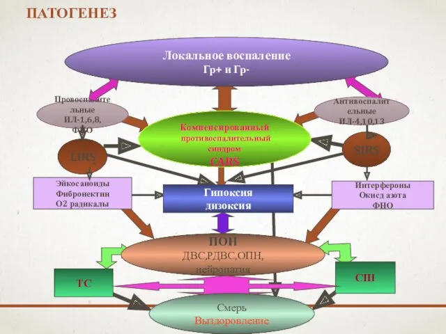 ПАТОГЕНЕЗ Локальное воспаление Гр+ и Гр- Провоспалительные ИЛ-1,6,8,ФНО Антивоспалительные ИЛ-4,10,13