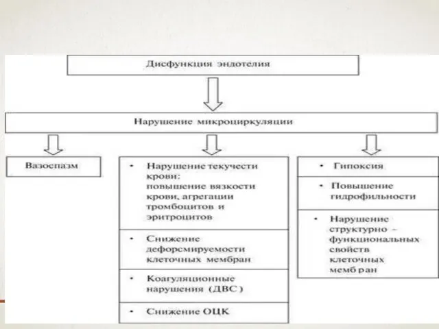 ПАТОГЕНЕЗ ПРЕЭКЛАМПСИИ