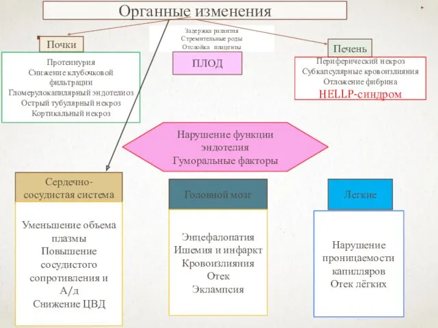 Органные изменения Задержка развития Стремительные роды Отслойка плаценты ПЛОД Почки