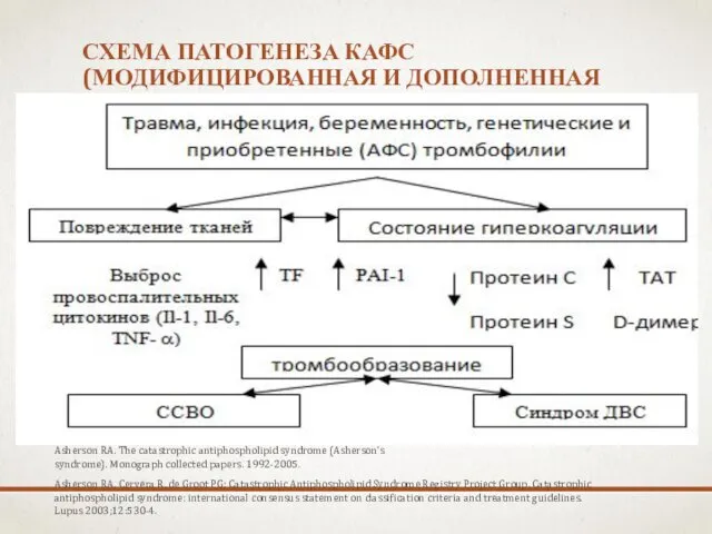 СХЕМА ПАТОГЕНЕЗА КАФС (МОДИФИЦИРОВАННАЯ И ДОПОЛНЕННАЯ СХЕМА ПО RA ASHERSON