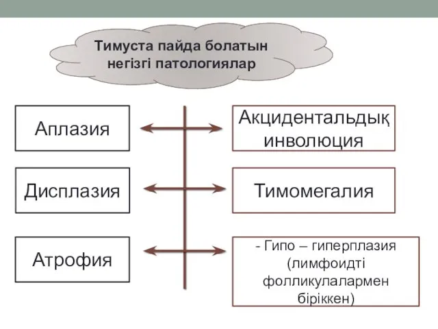 Тимуста пайда болатын негізгі патологиялар Аплазия Дисплазия Атрофия Акцидентальдық инволюция