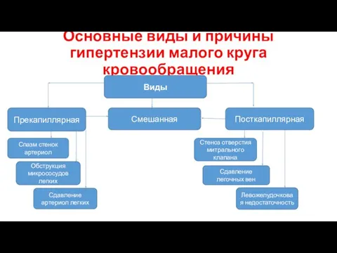 Основные виды и причины гипертензии малого круга кровообращения Виды Смешанная