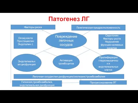 Повреждение легочных сосудов Эндотелиальная дисфункция Активация тромбоцитов Пролиферация гладкомышечных и