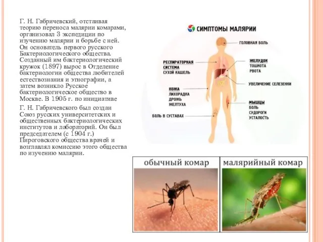 Г. Н. Габричевский, отстаивая теорию переноса малярии комарами, организовал 3
