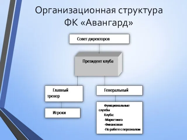 Организационная структура ФК «Авангард»