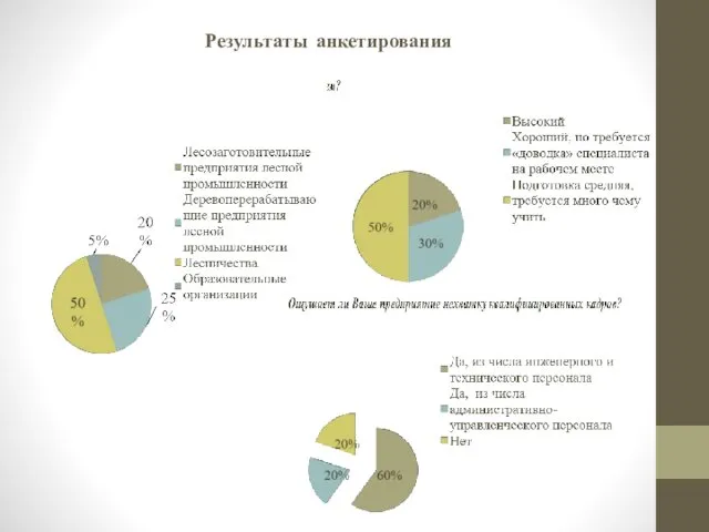 Результаты анкетирования