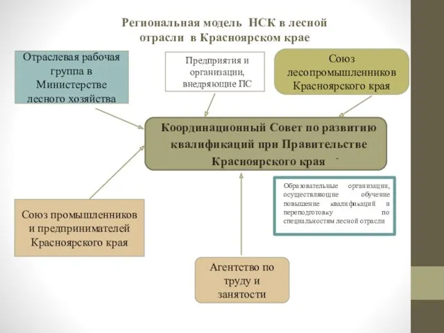 Региональная модель НСК в лесной отрасли в Красноярском крае Союз