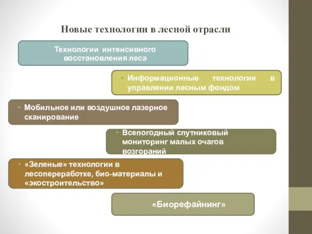 Новые технологии в лесной отрасли Технологии интенсивного восстановления леса Информационные