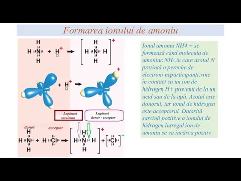 Formarea ionului de amoniu Ionul amoniu NH4 + se formează