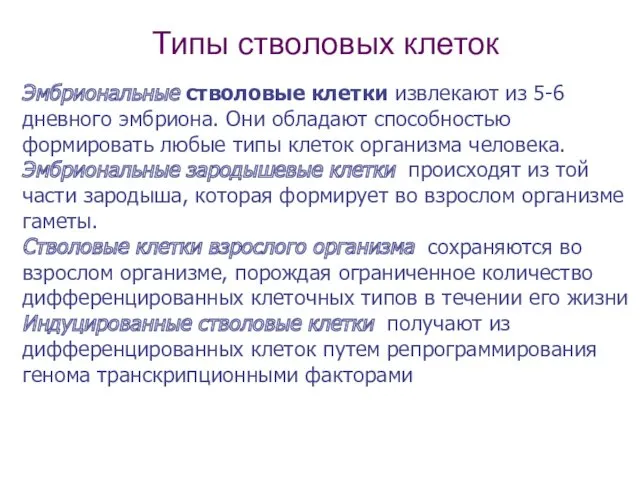 Типы стволовых клеток Эмбриональные стволовые клетки извлекают из 5-6 дневного эмбриона. Они обладают