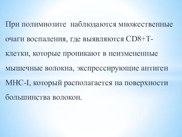 При полимиозите наблюдаются множественные очаги воспаления, где выявляются CD8+Т-клетки, которые