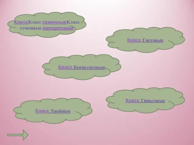 КлассКласс семенныеКласс семенные папоротники Класс Гнетовые Класс Беннетитовые Класс Гинкговые Класс Хвойные