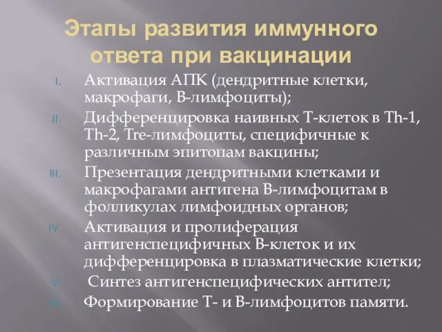 Этапы развития иммунного ответа при вакцинации Активация АПК (дендритные клетки, макрофаги, В-лимфоциты); Дифференцировка