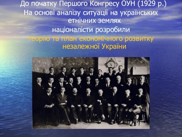 До початку Першого Конгресу ОУН (1929 р.) На основі аналізу ситуації на українських