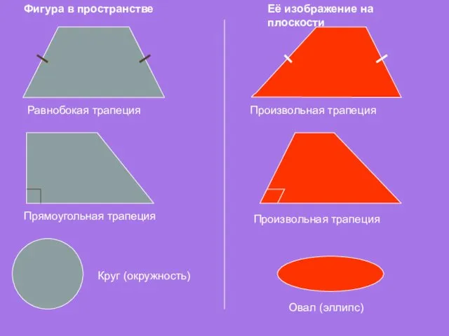 Фигура в пространстве Её изображение на плоскости Равнобокая трапеция Произвольная