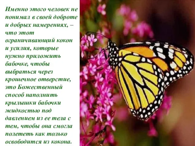 Именно этого человек не понимал в своей доброте и добрых