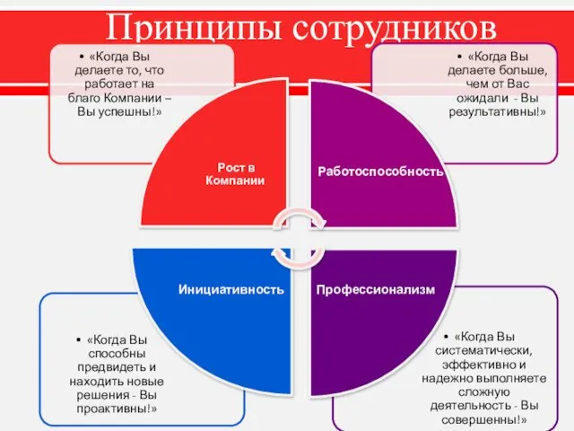 Принципы сотрудников Работоспособность Инициативность Профессионализм