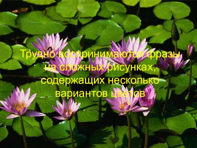 Трудно воспринимаются фразы на сложных рисунках, содержащих несколько вариантов цветов