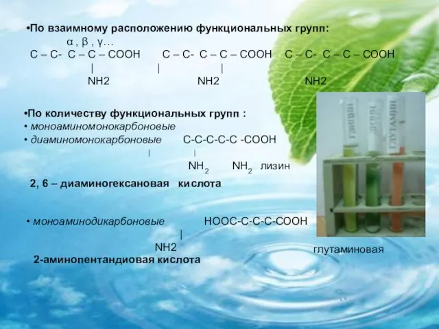 По количеству функциональных групп : моноаминомонокарбоновые диаминомонокарбоновые С-С-С-С-С -СООН ׀