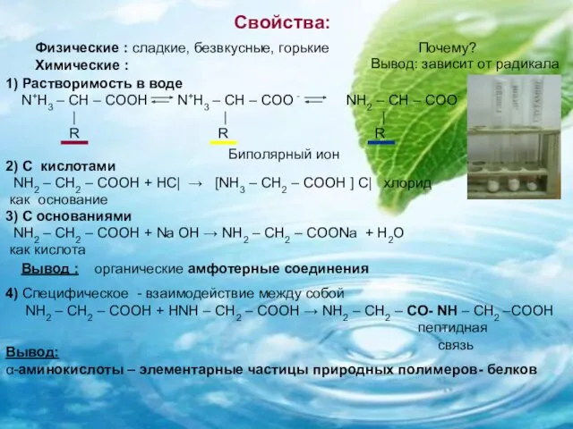 Свойства: 1) Растворимость в воде N+H3 – CH – COOH