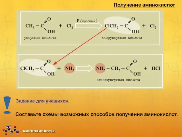 Получение аминокислот Составьте схемы возможных способов получения аминокислот. Задание для учащихся. !