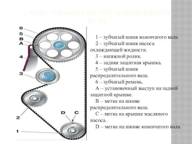 СХЕМА ПРИВОДА РАСПРЕДЕЛИТЕЛЬНОГО ВАЛА 1 – зубчатый шкив коленчатого вала.