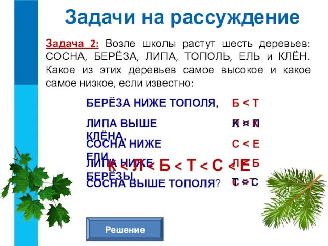 Задача 2: Возле школы растут шесть деревьев: СОСНА, БЕРЁЗА, ЛИПА,