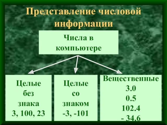 Представление числовой информации Числа в компьютере Целые без знака 3, 100, 23 Целые