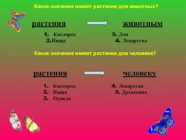 растения животным Кислород 3. Дом 2.Пища 4. Лекарства растения человеку